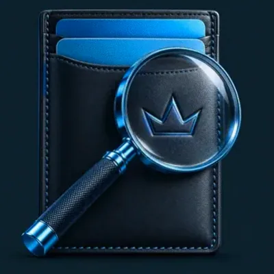 Wallet and magnifier — VegaStars